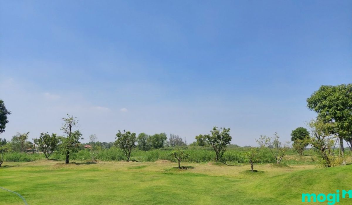 Lưu ý khi thuê đất vườn Bình Chánh