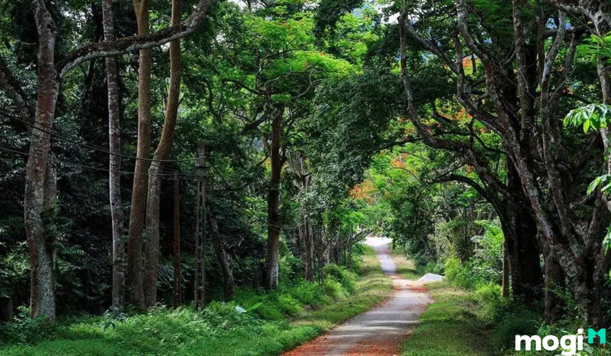 Đất nền Ba Vì
