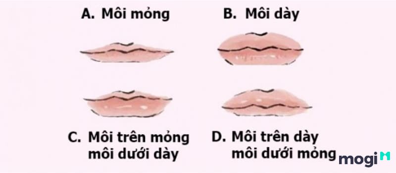 Đàn Ông Môi Mỏng Có Tốt Không? Bình Giải Từ A-Z Tướng Số Vận Mệnh 2 đàn ông môi mỏng