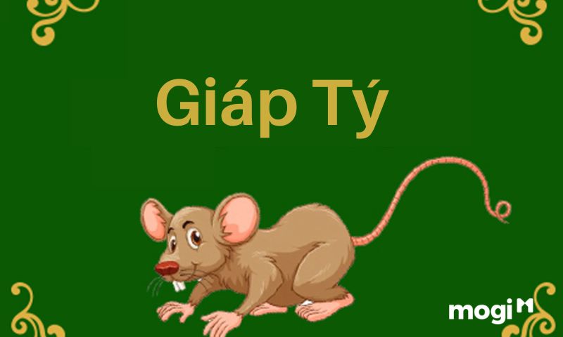 Giáp Tý có Giáp Mộc là Mộc chủ nhân, tọa ở Chính Ấn
