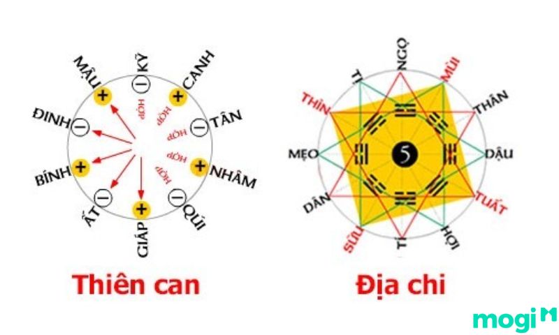 Thiên can và địa chi biểu thị cho sự hài hòa đất trời