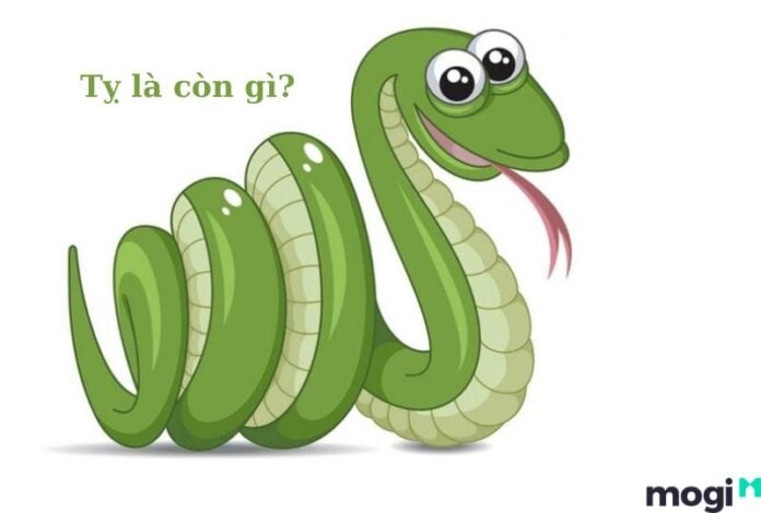 Tỵ là con gì