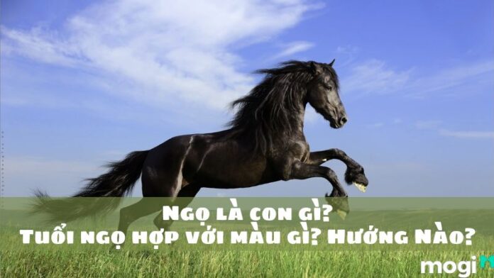 Ngọ là con gì?