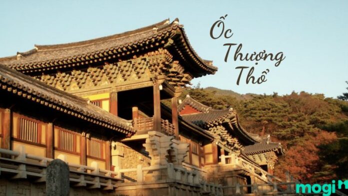 ốc thượng thổ