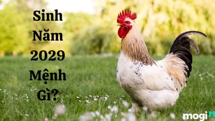 Sinh Năm 2029 Mệnh Gì? Tuổi Gì? Luận Đoán Tính Cách Kỷ Dậu 2029