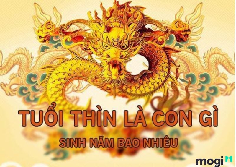 Thìn Là Con Gì? Luận giải chi tiết về bản mệnh của người tuổi Thìn 3 Tuổi Thìn sinh những năm nào? Mệnh gì?