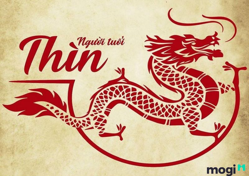 Thìn Là Con Gì? Luận giải chi tiết về bản mệnh của người tuổi Thìn 7 Mậu Thìn 1988