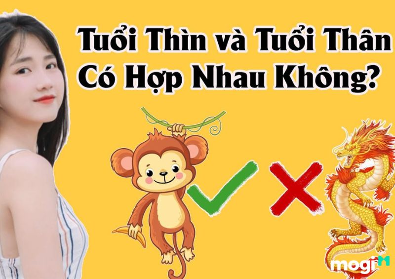Thìn Là Con Gì? Luận giải chi tiết về bản mệnh của người tuổi Thìn 9 Tuổi hợp với tuổi Thìn
