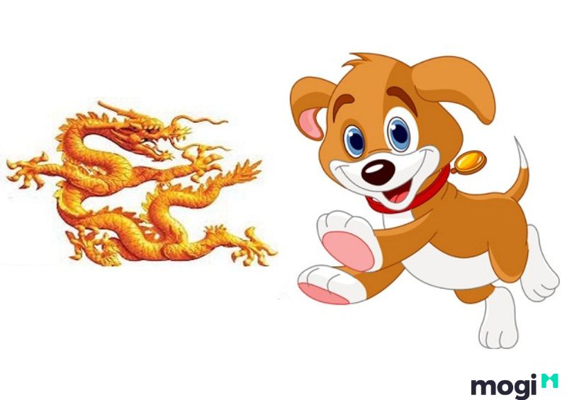 Thìn Là Con Gì? Luận giải chi tiết về bản mệnh của người tuổi Thìn 10 Tuổi kỵ với tuổi Thìn