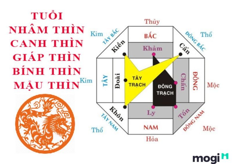 Thìn Là Con Gì? Luận giải chi tiết về bản mệnh của người tuổi Thìn 13 Tuổi Thìn xây nhà hướng nào tốt?