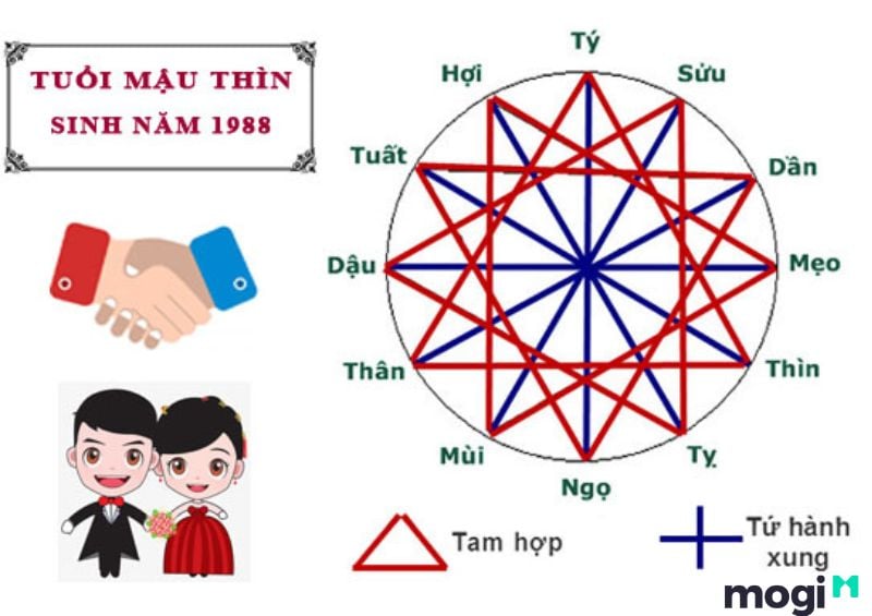 Thìn Là Con Gì? Luận giải chi tiết về bản mệnh của người tuổi Thìn 16 Mậu Thìn 1988