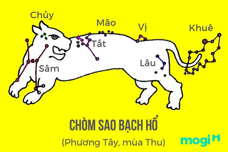 Chòm Bạch Hổ thuộc Nhị Thập Bát Tú