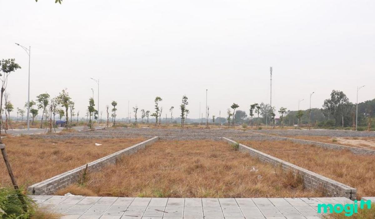 Các loại hình mua bán đất Thanh Trì