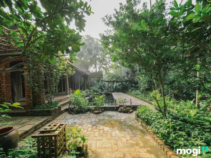 Sân vườn nhà quê trồng rau sạch