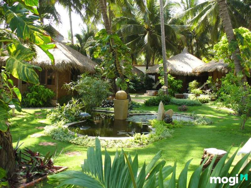 Thiết kế được nhiều người ưa thích