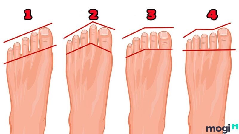 Cách đơn giản nhất khi xem tướng bàn chân đó chính là dựa vào kích thước