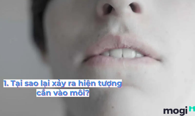 cắn vào môi Theo Mocbai666 tải ứng dụng thì việc cắn môi là hoàn toàn bình thường