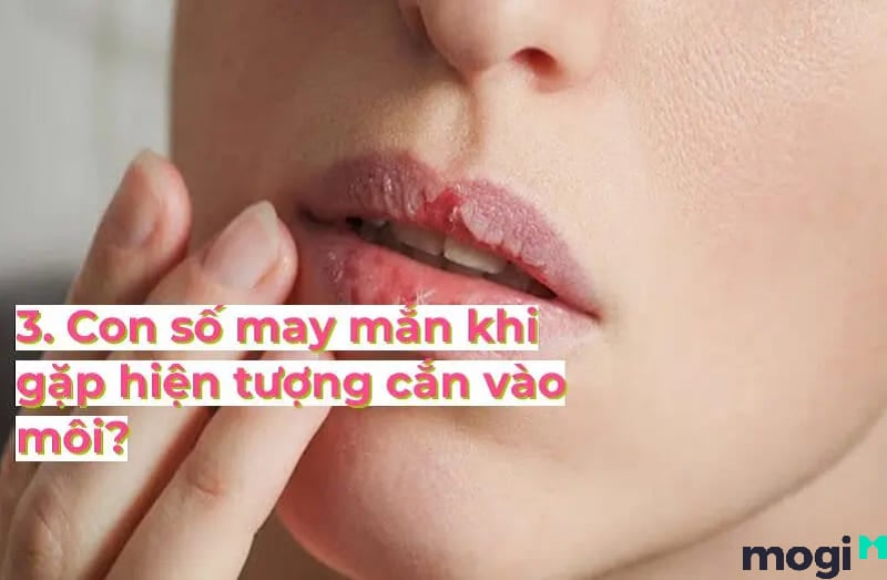 cắn vào môi cắn vào môi