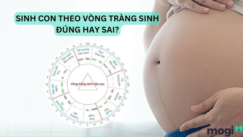 Vòng Tràng Sinh Là Gì? Ý Nghĩa, Công Dụng Và Cách Sử Dụng Chính Xác 5 vòng tràng sinh là gì?