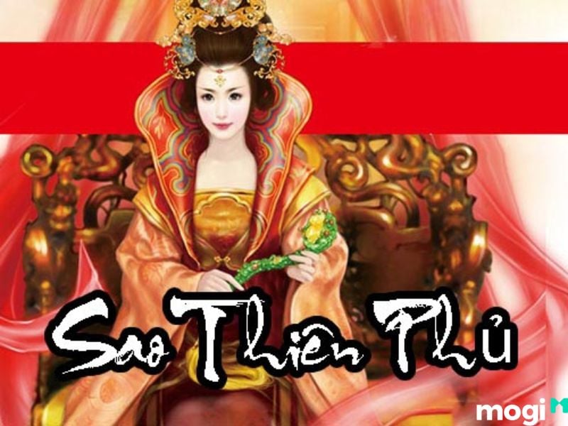 Sao Thiên Phủ tại cung Nô Bộc