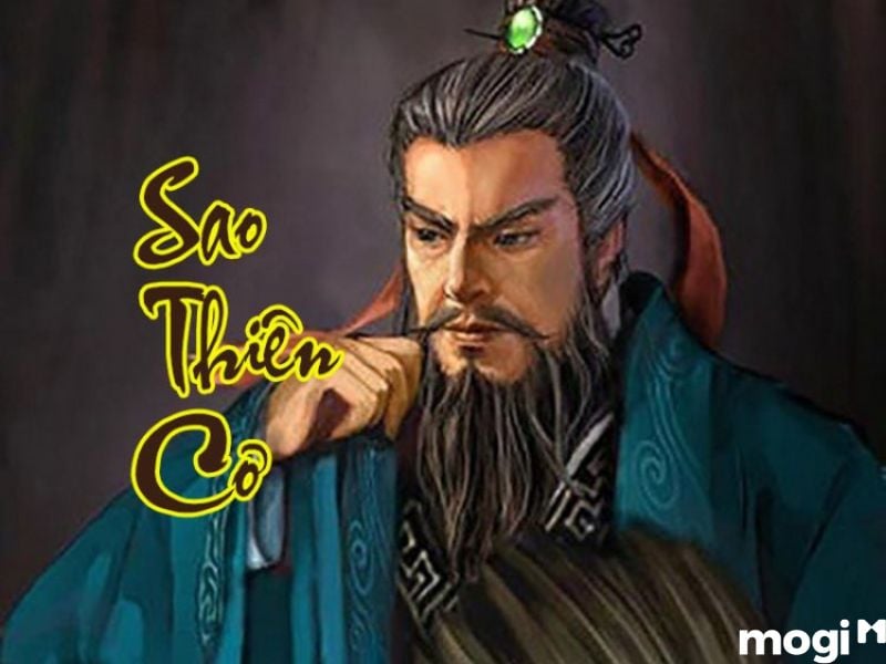 Sao Thiên Cơ tại cung Nô Bộc