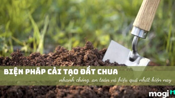 Biện pháp cải tạo đất chua