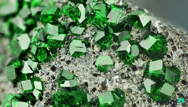Đá Emerald hợp mệnh nào