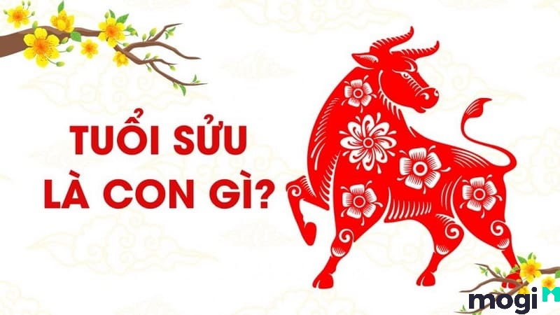 sửu là con gì
