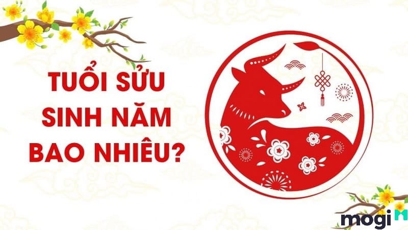 sửu là con gì
