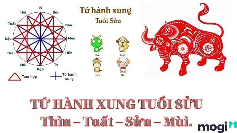 sửu là con gì
