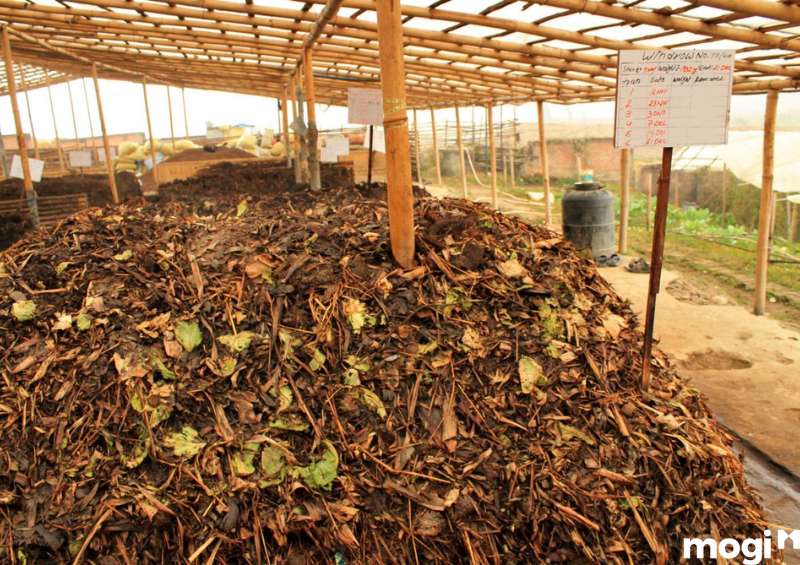 Biện pháp cải tạo đất chua bằng cách bổ sung phân hữu cơ cho đất