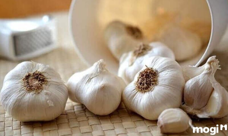 Cách đuổi ruồi hiệu quả bằng tỏi