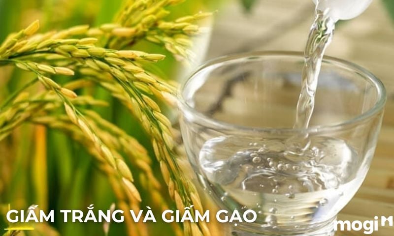 Cách đuổi ruồi hiệu quả bằng giấm ăn