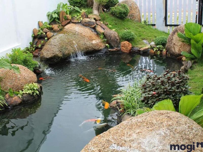tự làm hồ cá sân vườn