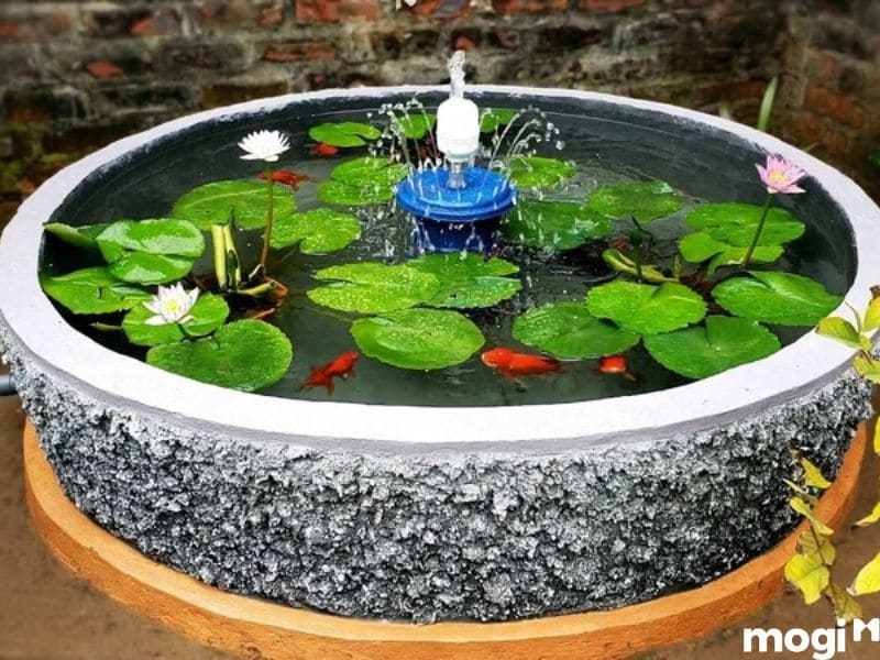 tự làm hồ cá sân vườn