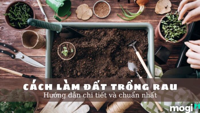 Cách làm đất trồng rau