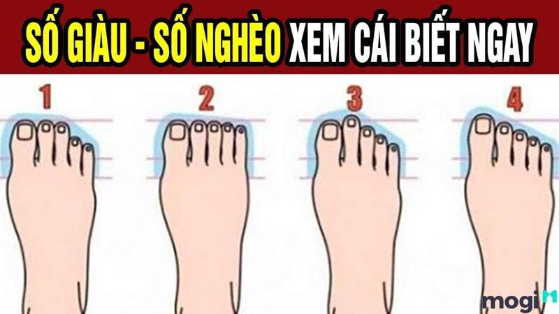 Ý nghĩa việc xem tướng bàn chân