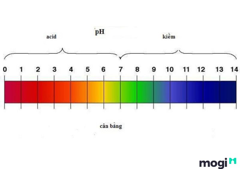  Độ PH của đất là gì?