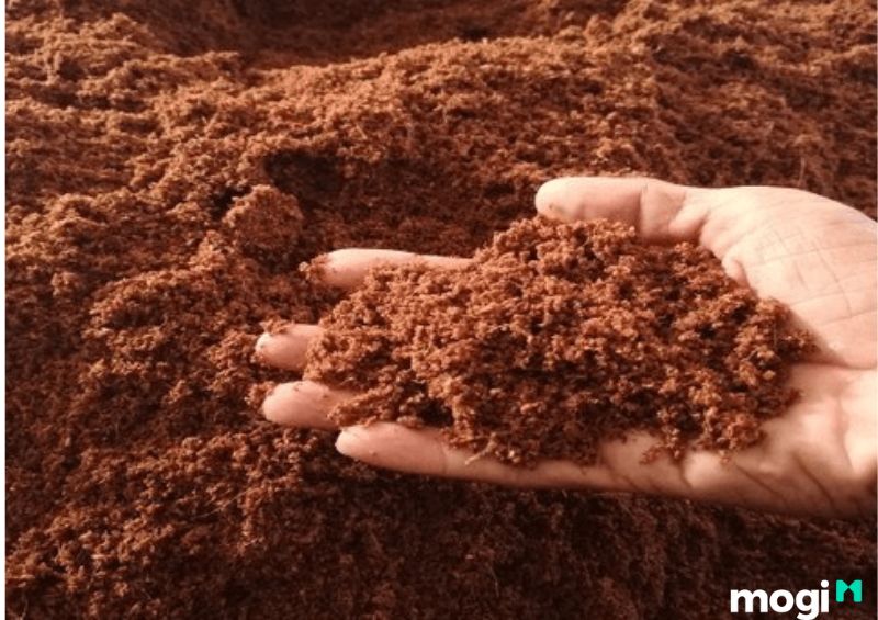 Loại đất canh tác là một trong những yếu tố ảnh hưởng đến độ pH của đất