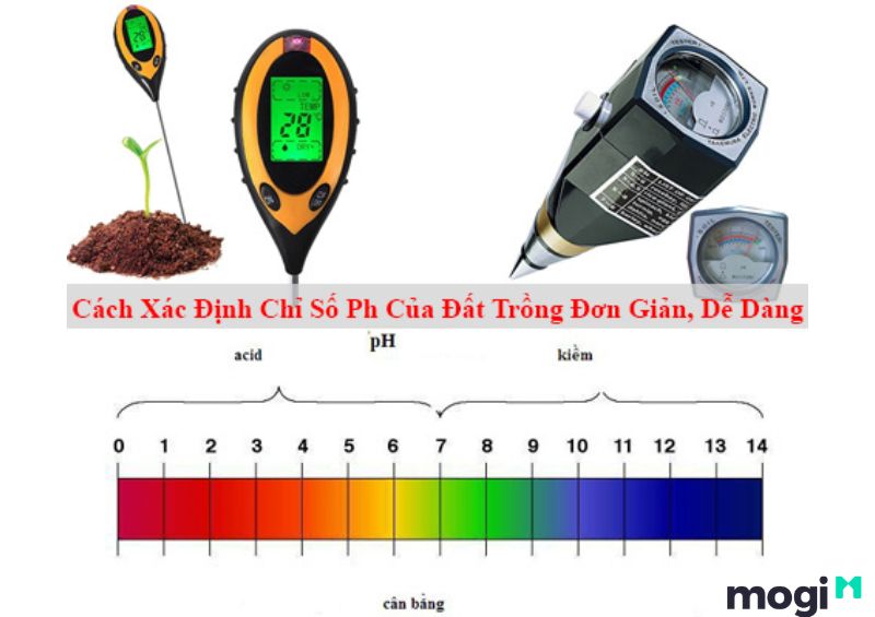 Lấy mẫu thử PH đất thế nào là đúng?
