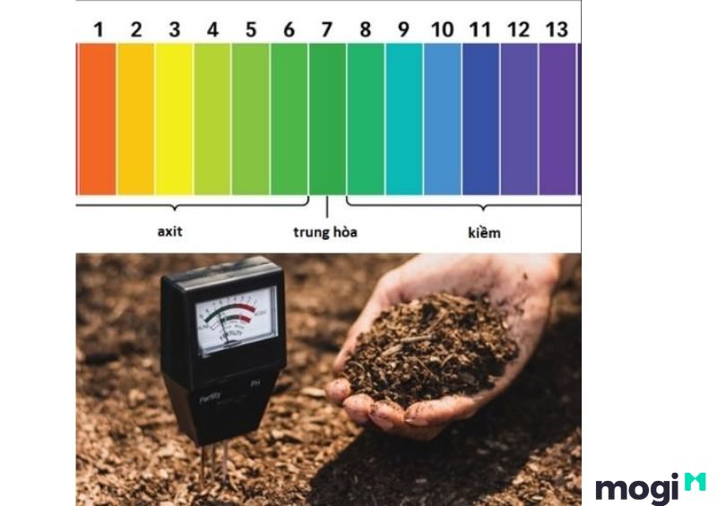 Ý nghĩa chỉ số PH trong đất
