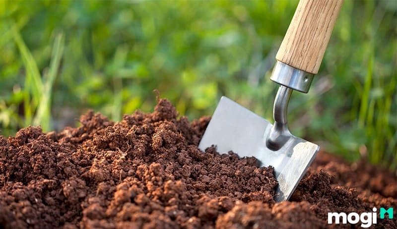 Độ phì nhiêu của đất thịt chỉ ở mức trung bình