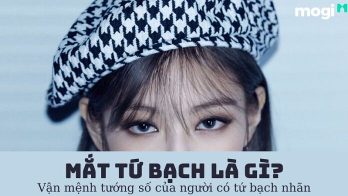 Mắt tứ bạch