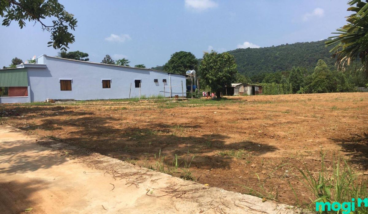 Vì sao nên mua bán đất thổ cư Quận 9