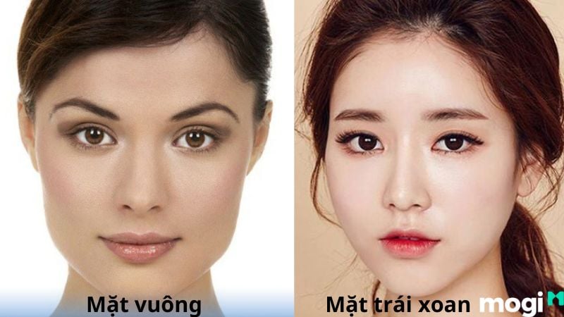 Phân biệt mặt trái xoan và mặt vuông