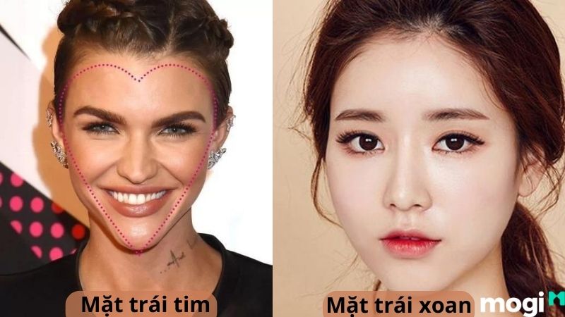 Phân biệt mặt trái xoan và mặt trái tim