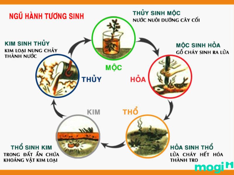 Quy luật ngũ hành tương sinh