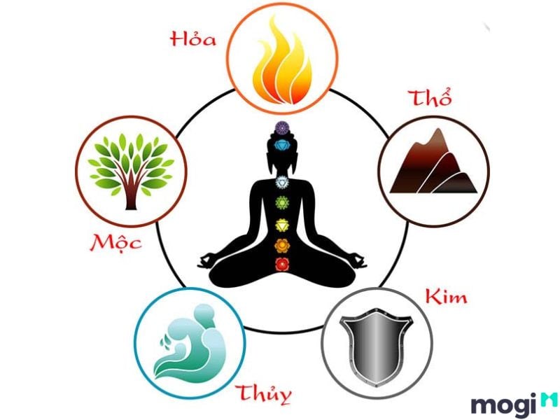 Y học cổ truyền thường sử dụng thuyết ngũ hành