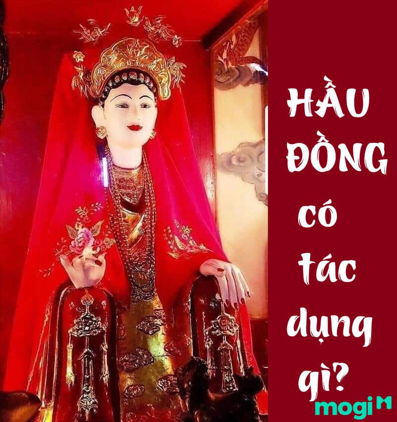 Tác dụng của việc hầu đồng đối với Mb6626 đăng ký ngay