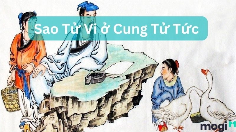 sao tu vi 16